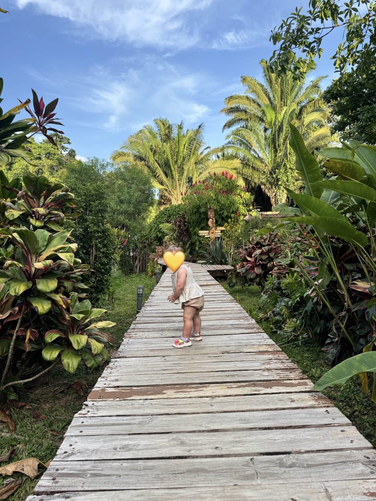 Exploring the Culture and History of Belize – Jaguar Creek
